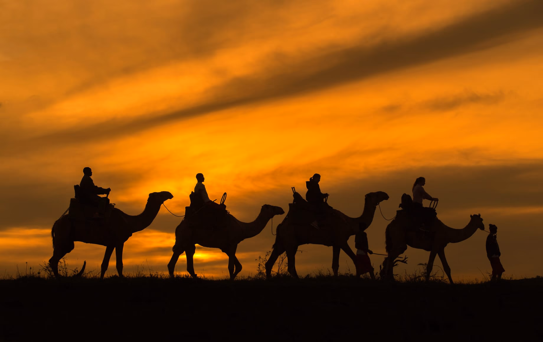 Horse Riding & Camel Trekking Safaris gallery 1