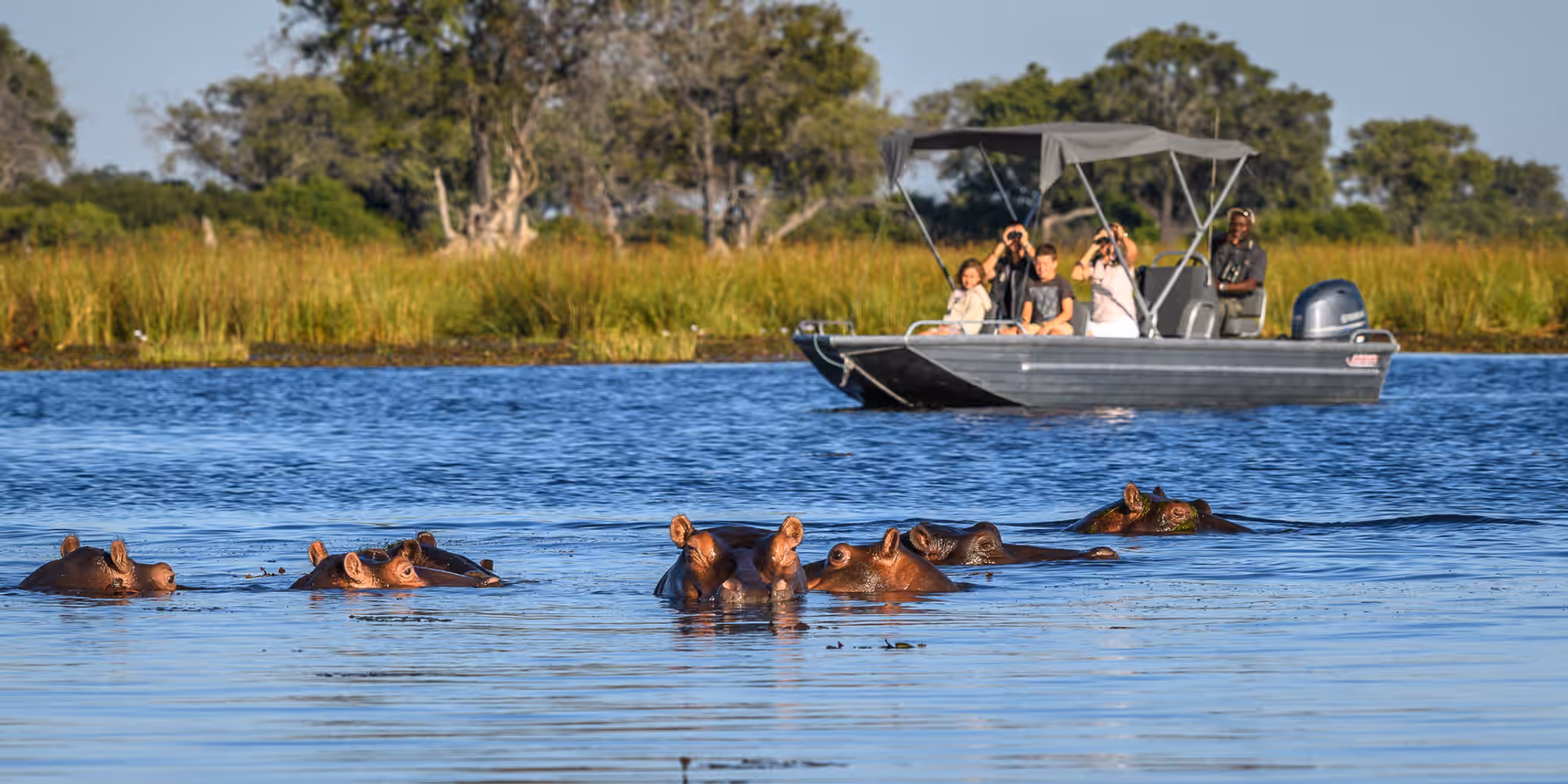 Walking Safaris in the Khwai Concession & Okavango Delta gallery 0