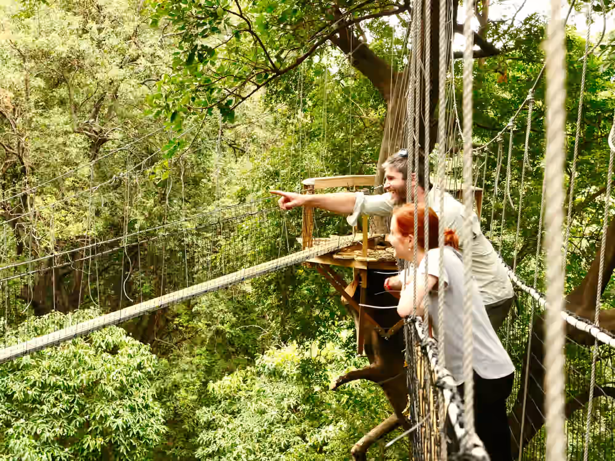 Treetop Walk in Lake Manyara National Park gallery 1