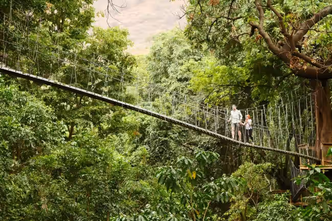 Treetop Walk in Lake Manyara National Park gallery 0