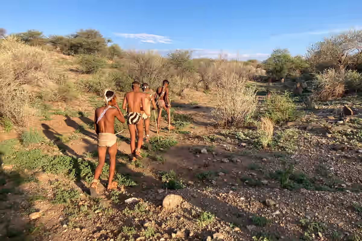 Windhoek: Ancient San Bushman Wilderness Walk gallery 3