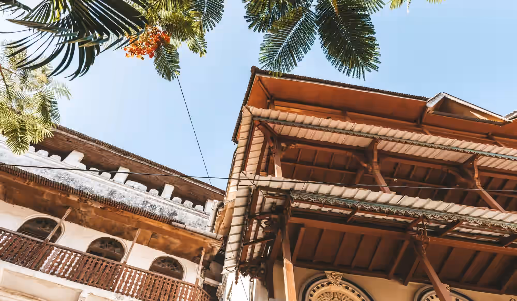 Stone Town & Spice Farm Tour (Full Day) gallery 1