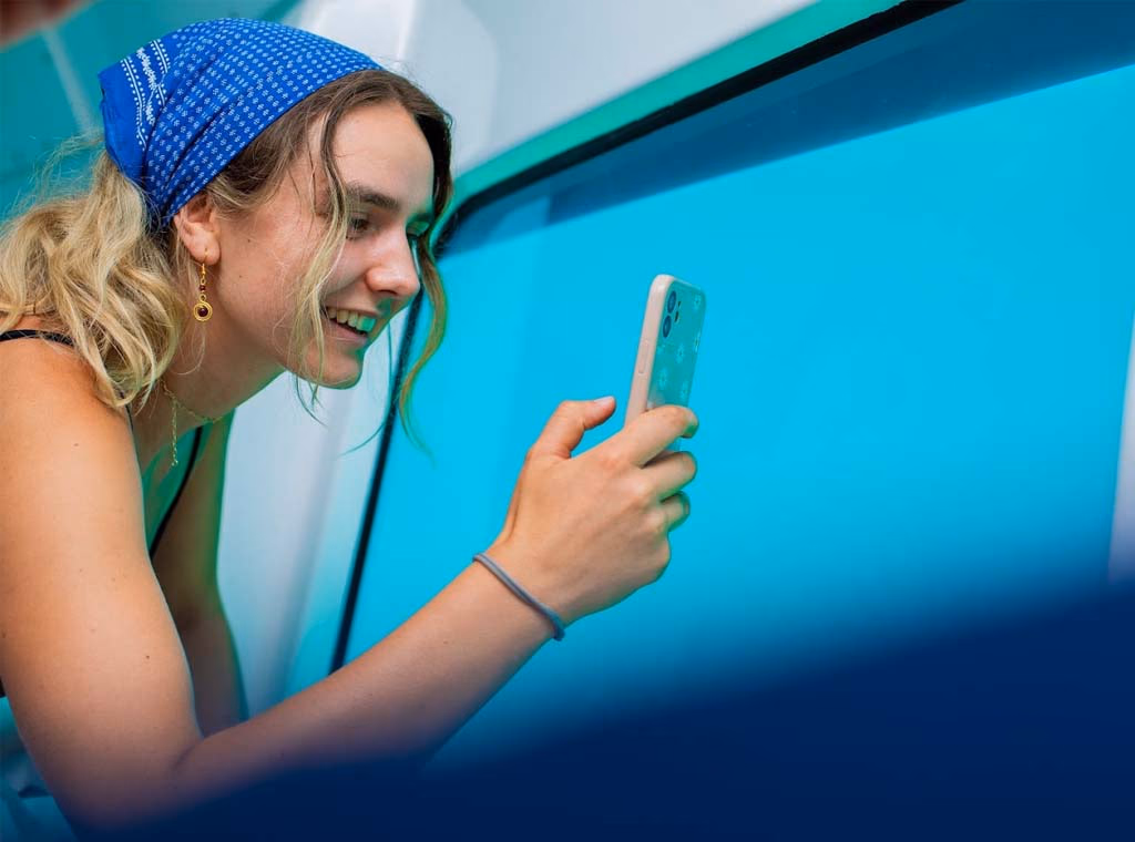 semi-submarine experience – sunset cruise gallery 5