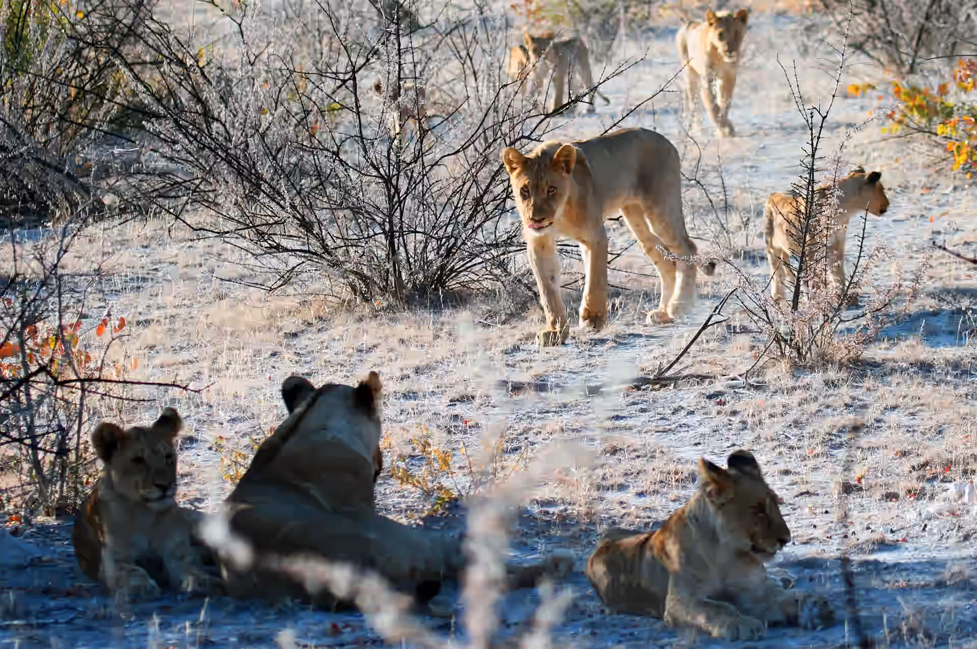 Namibia gallery 4