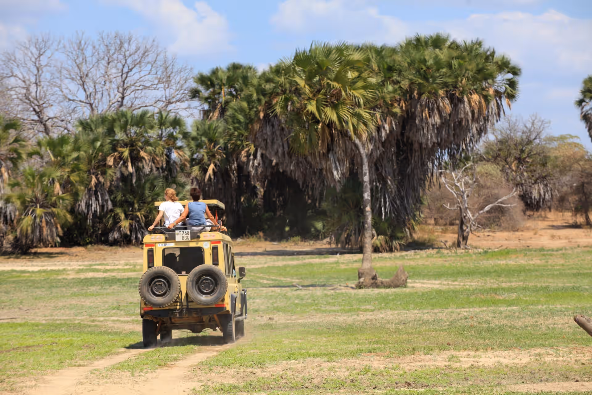 Tanzania gallery 1