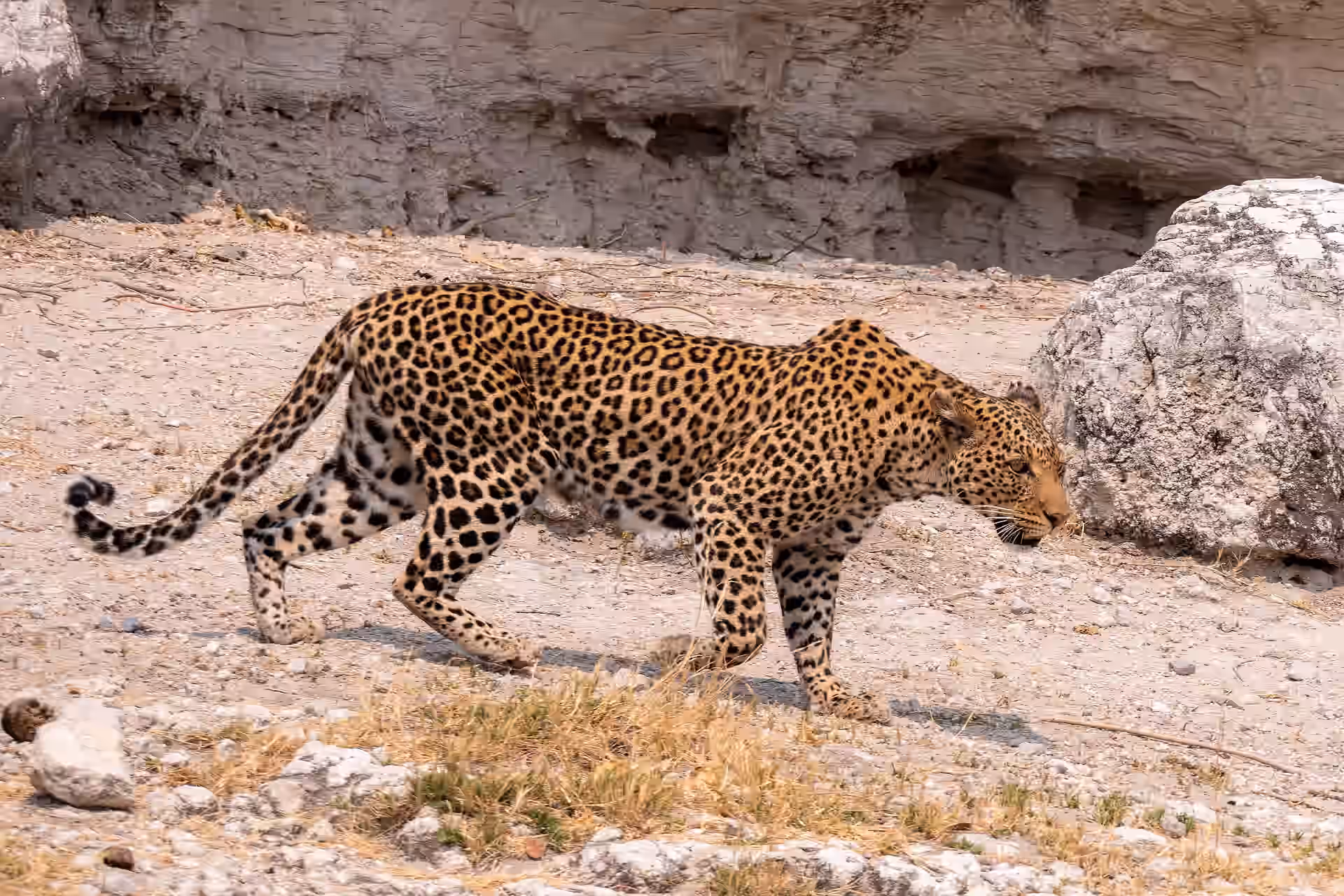 Botswana gallery 2