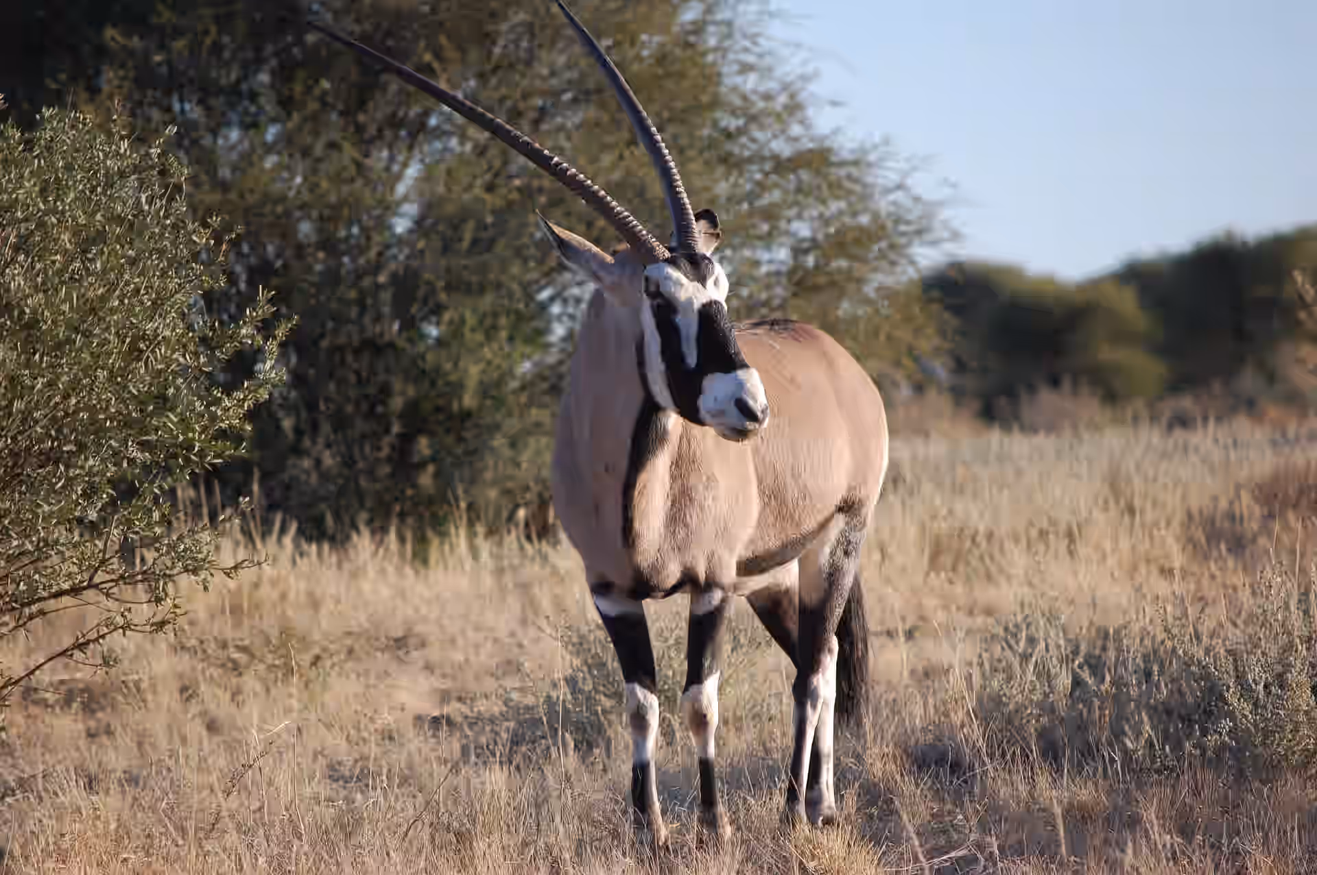 Namibia gallery 5