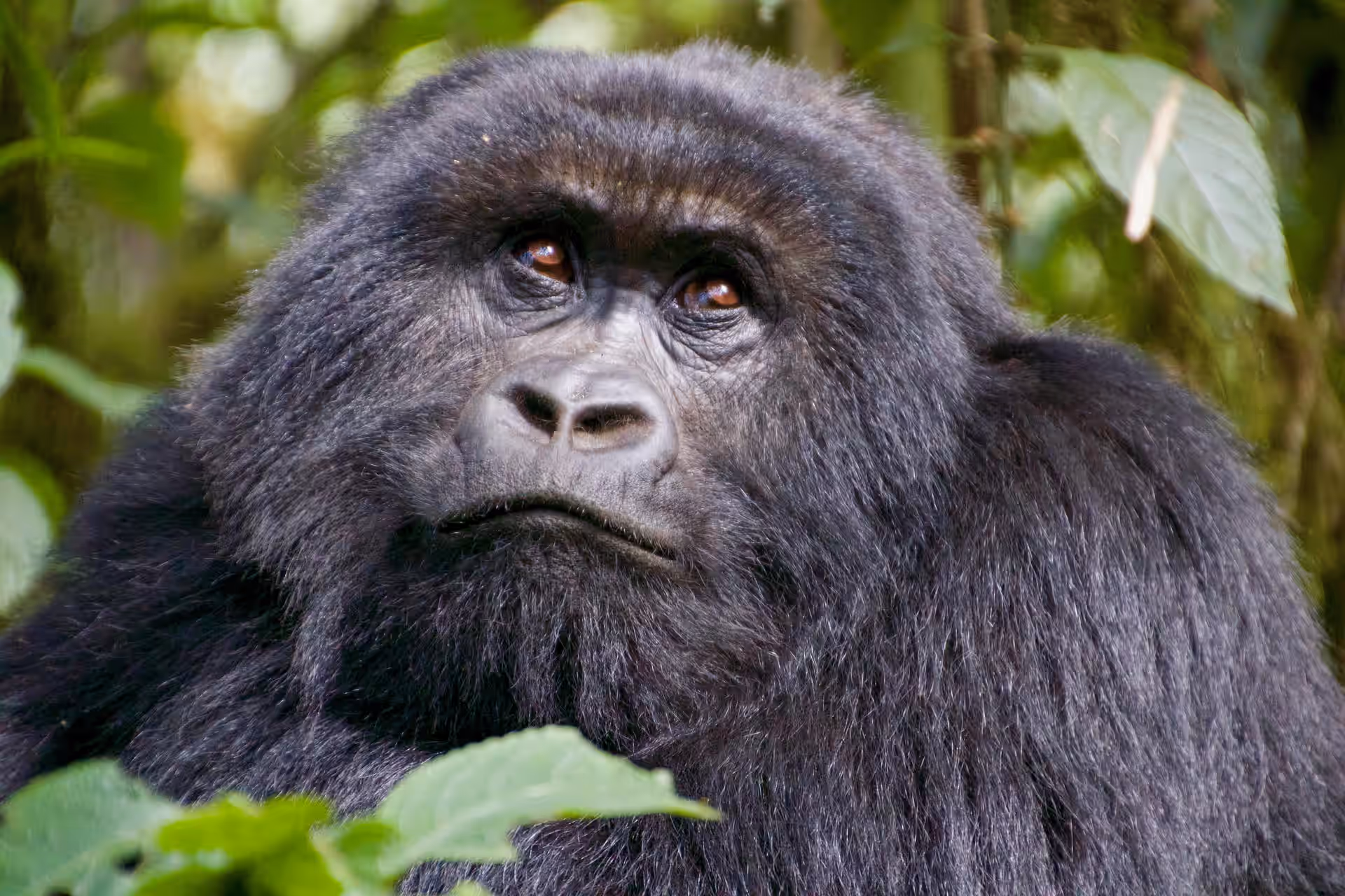 Rwanda gallery 3