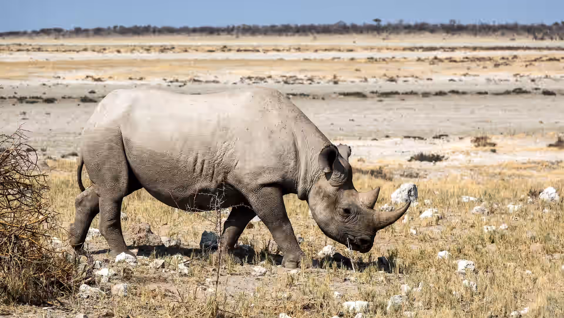 Botswana gallery 3