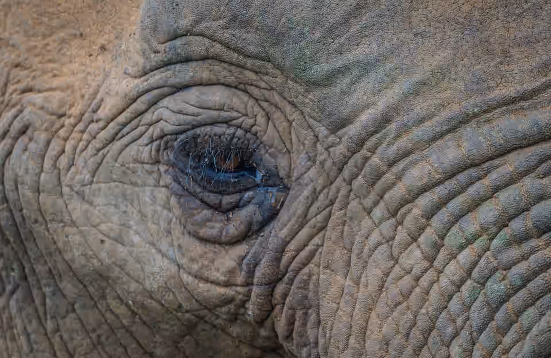Rwanda gallery 2
