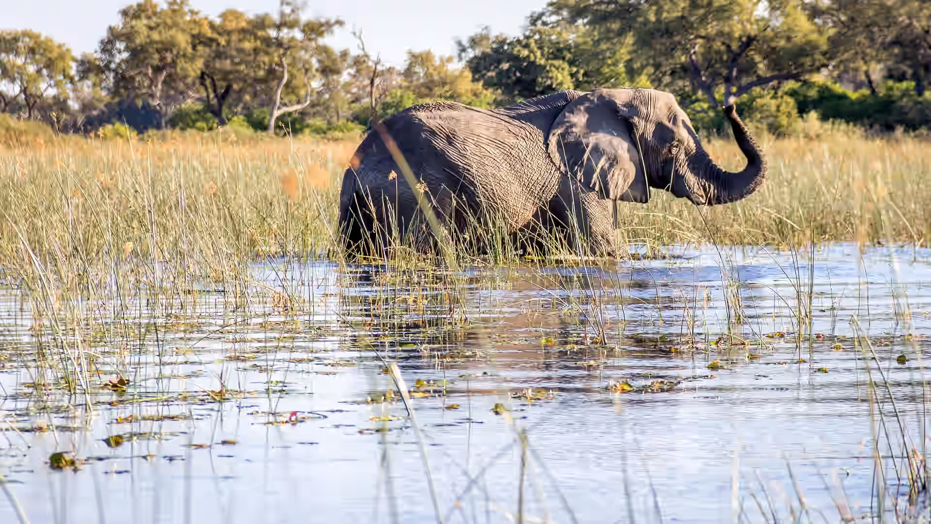 Botswana gallery 1