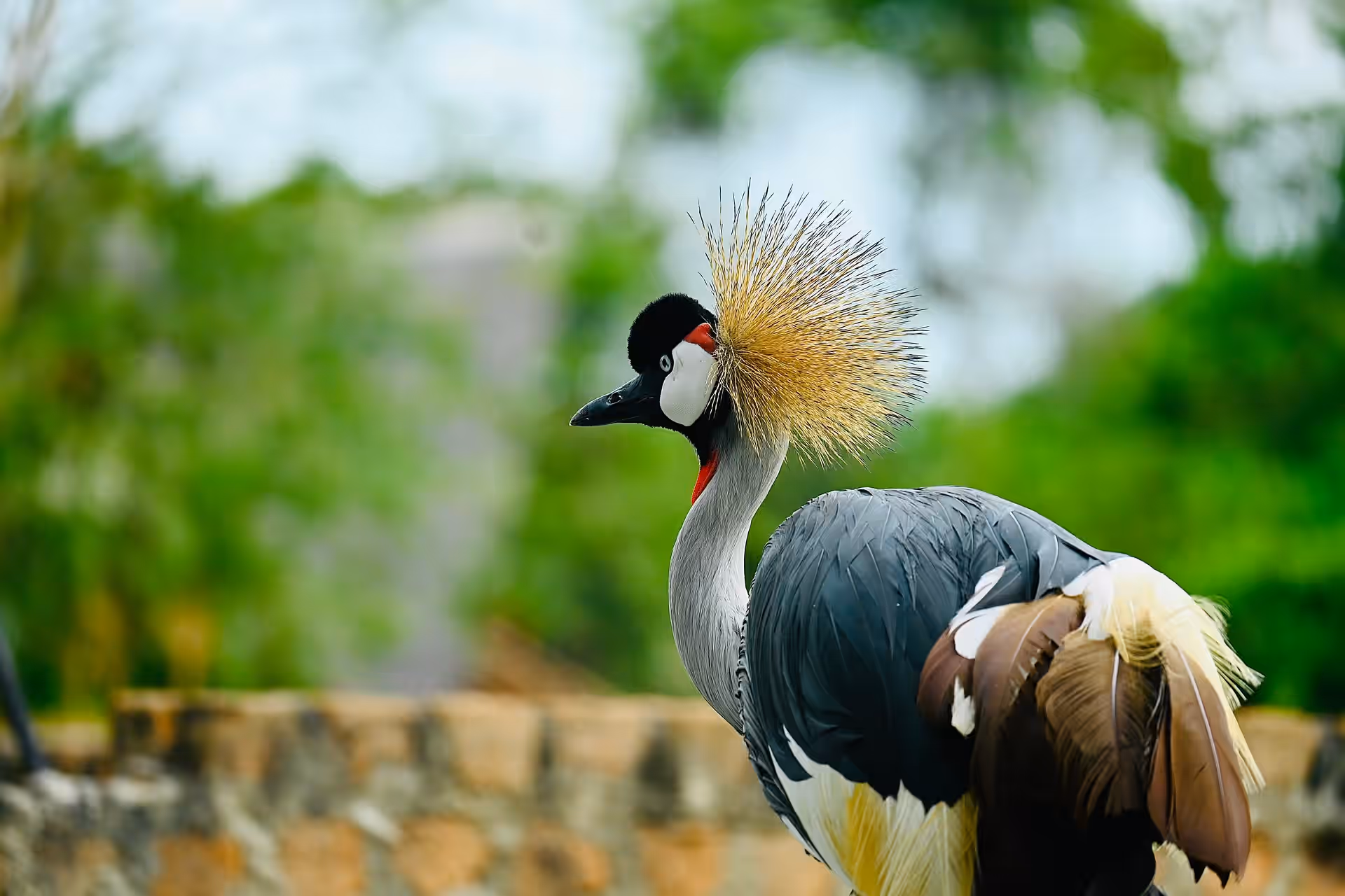 Uganda gallery 3