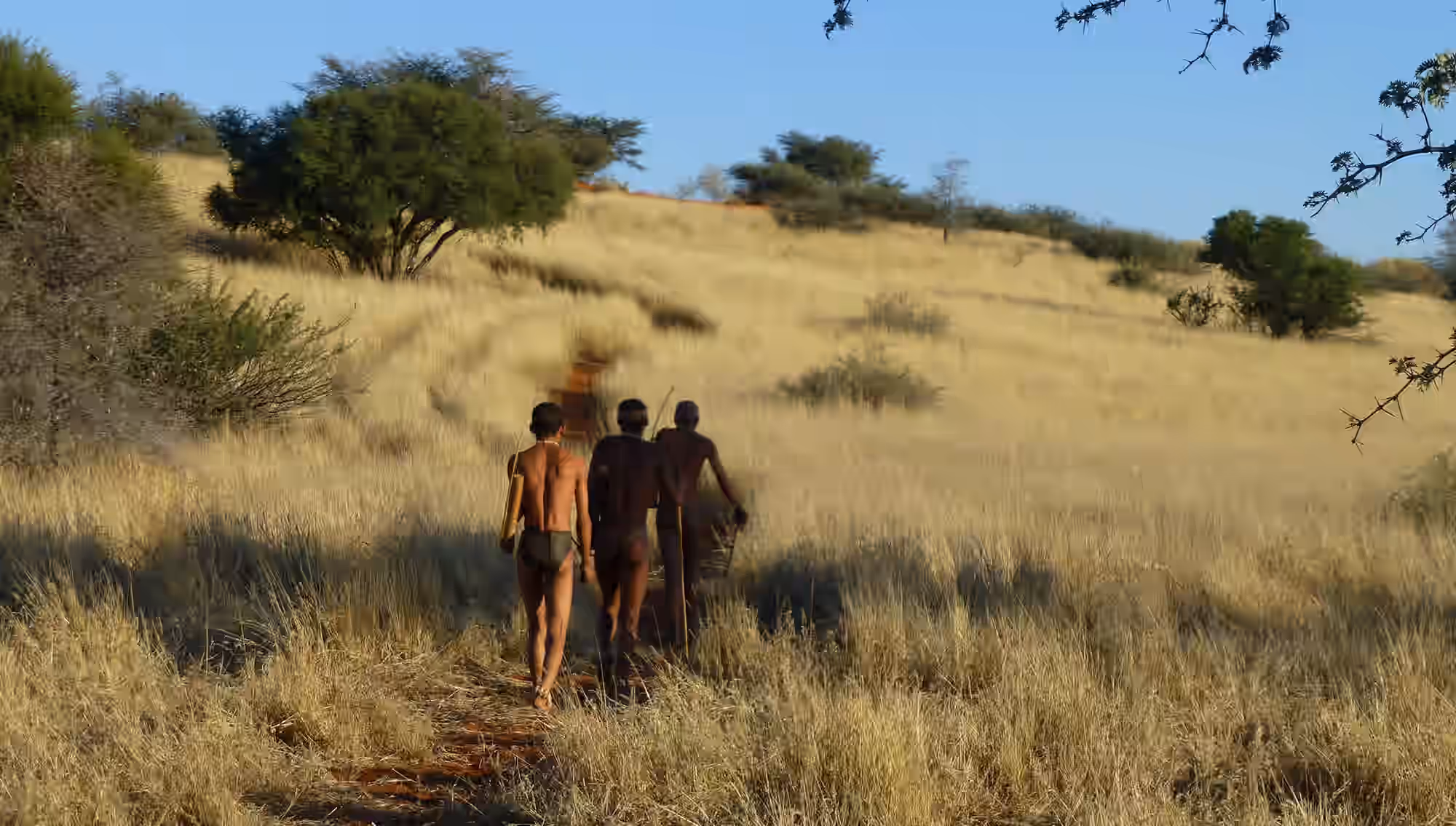 Kalahari Region (Namibia) gallery 1