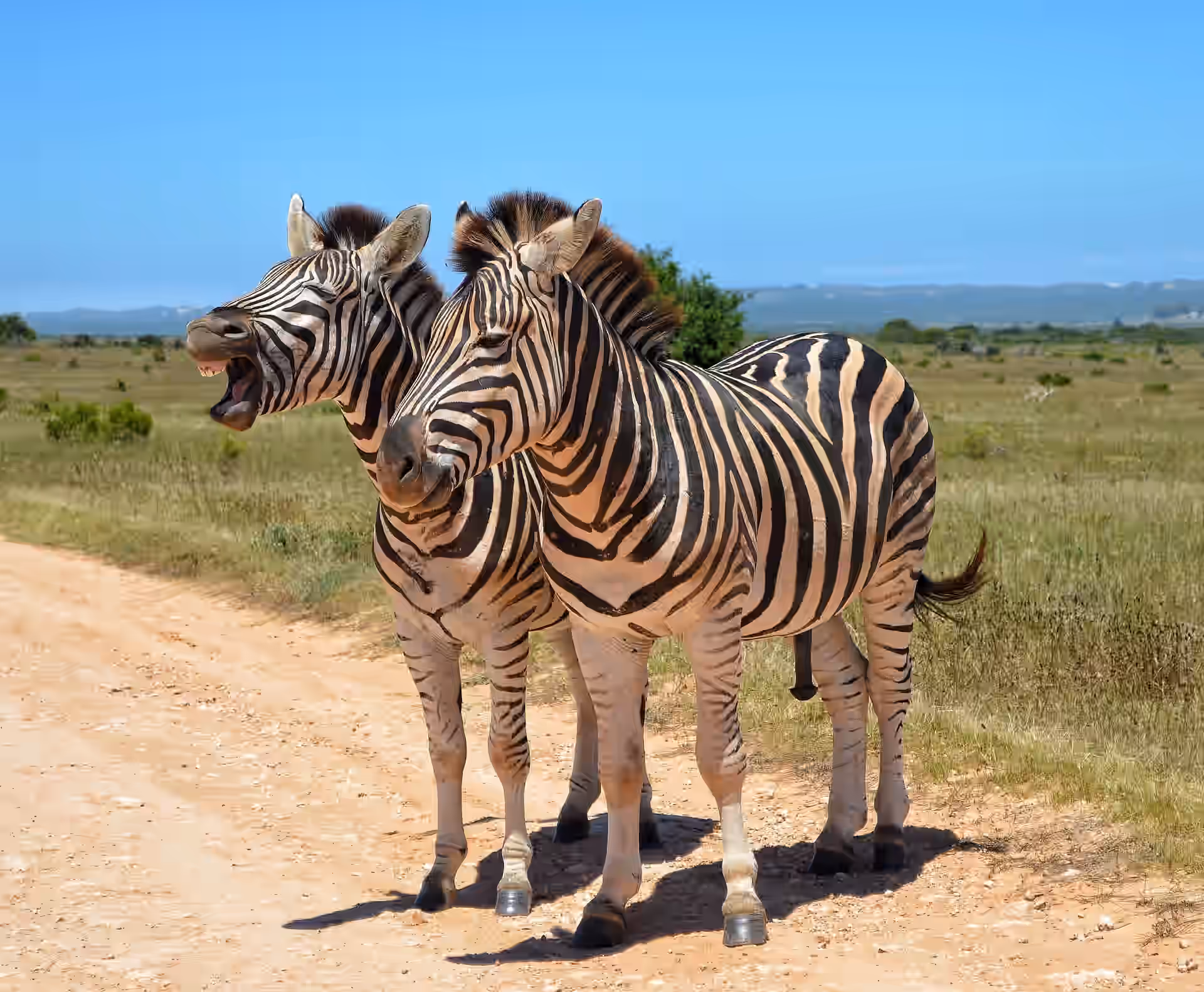 Kruger National Park gallery 0