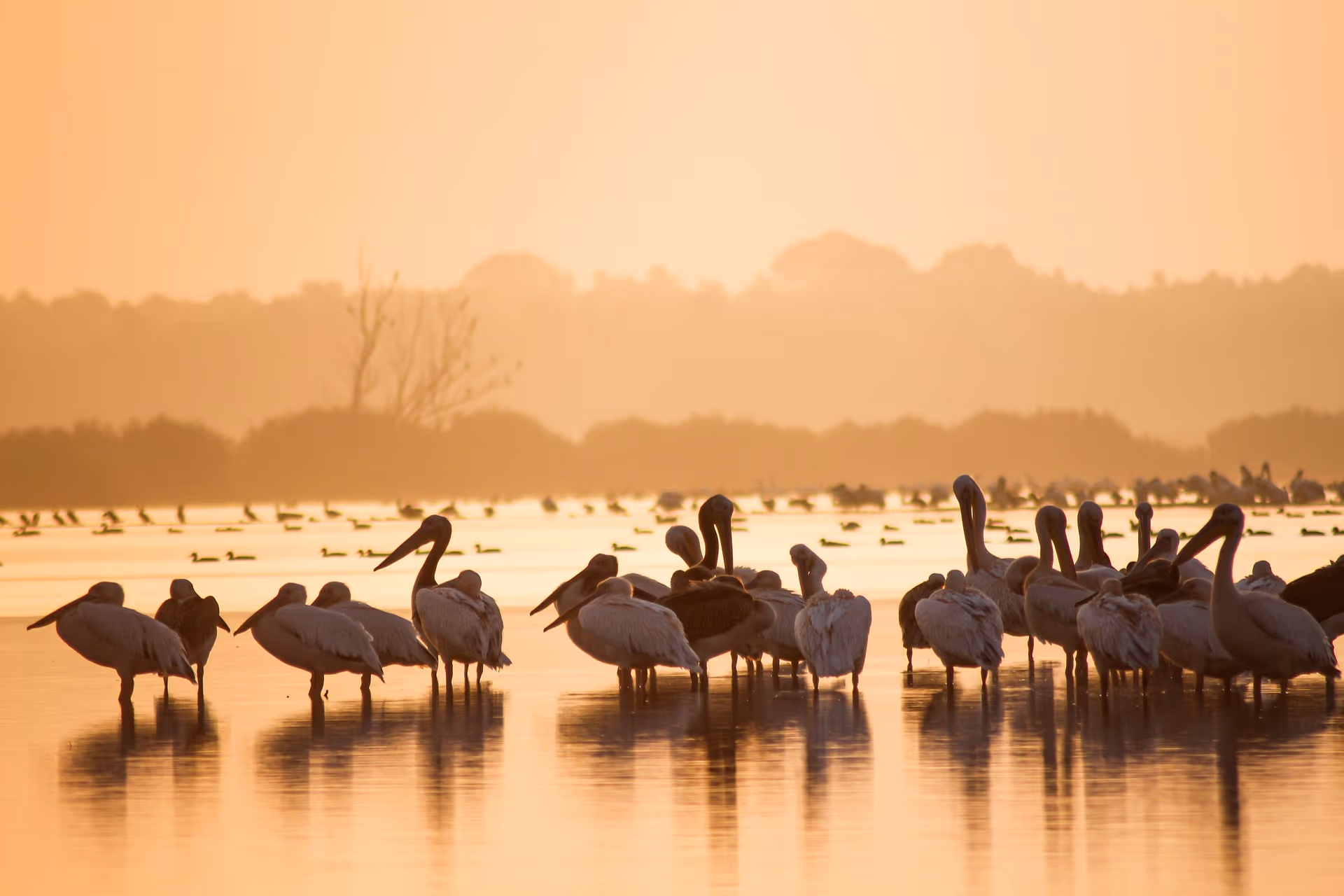 iSimangaliso Wetland Park gallery 3