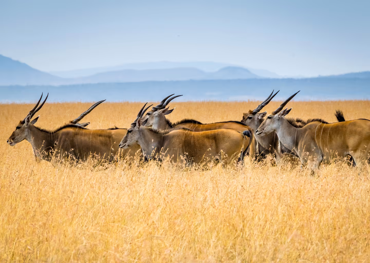Nxai Pan National Park gallery 5