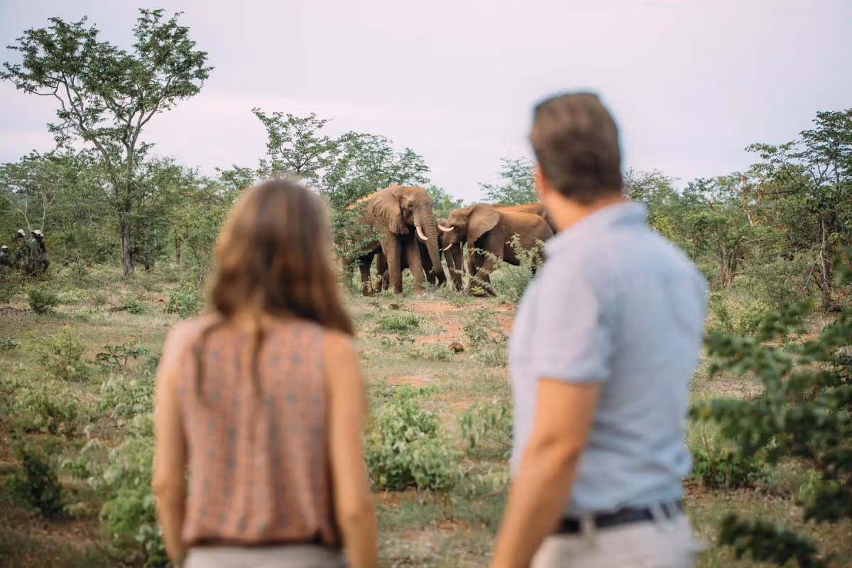 Greater Kruger Game Reserve