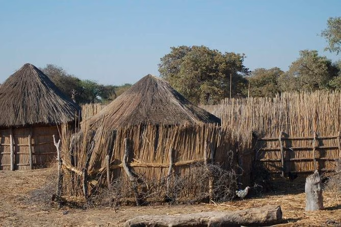 Maun gallery 2