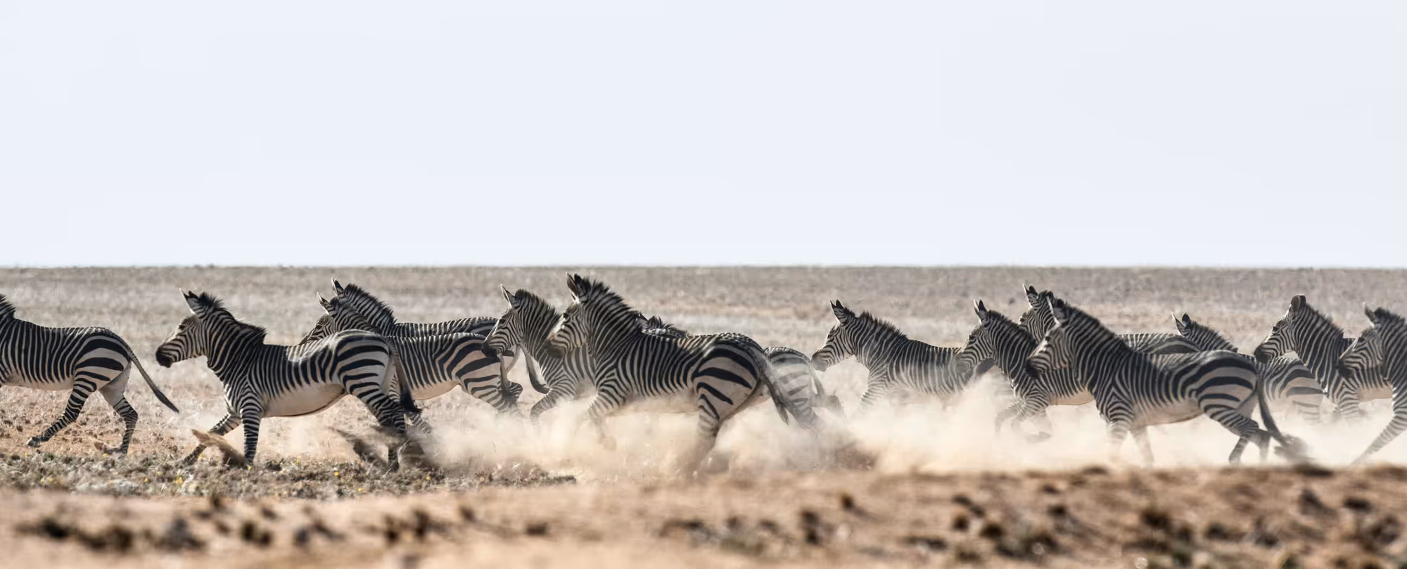 Nxai Pan National Park