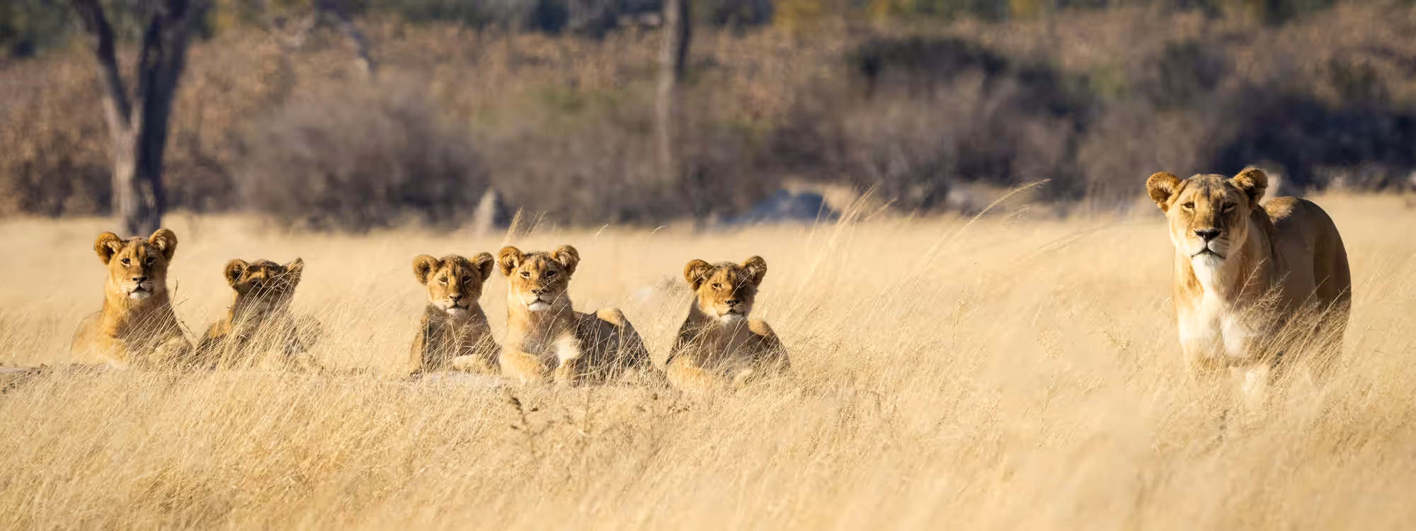 Tsavo East National Park gallery 3