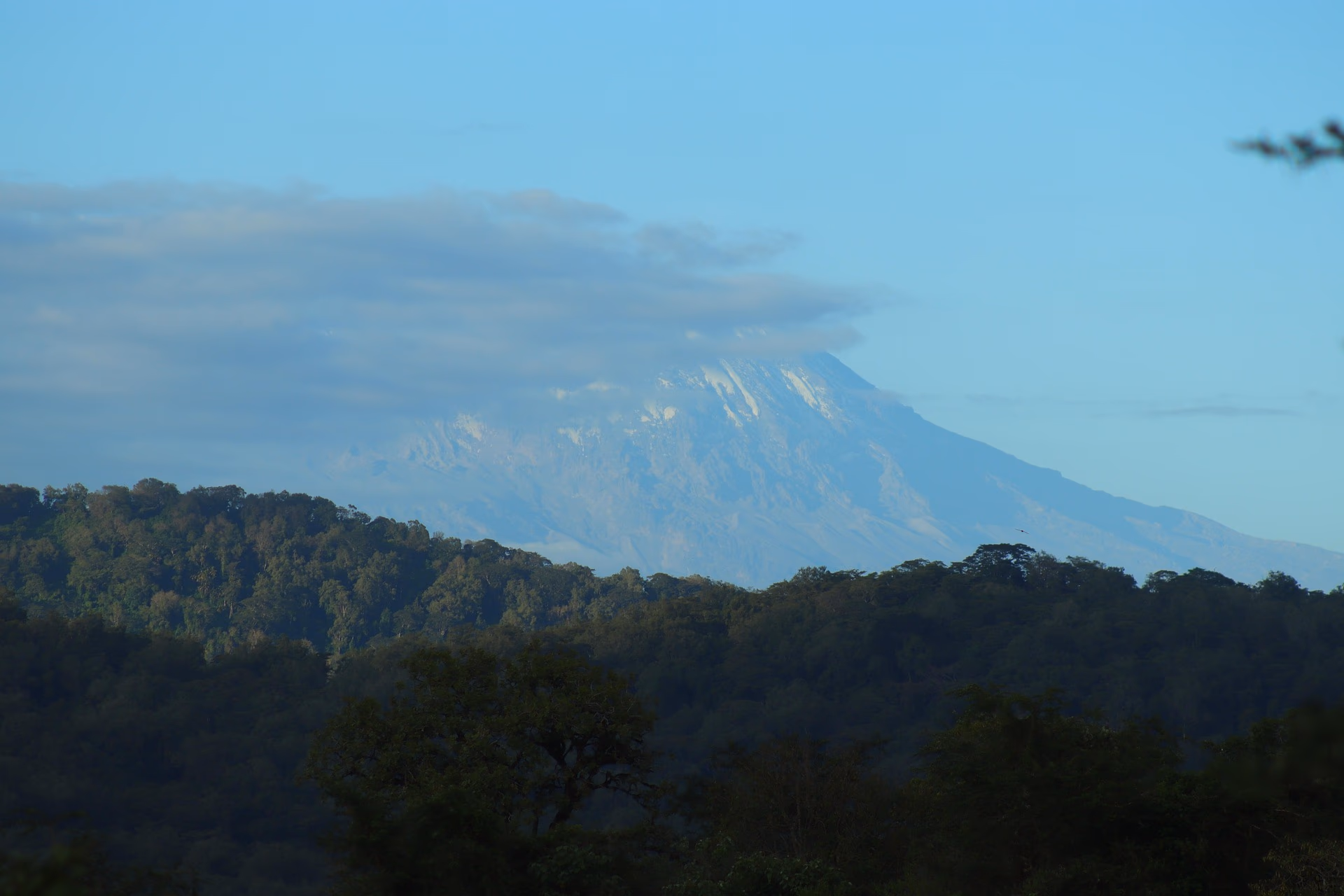 Mount Kilimanjaro gallery 0