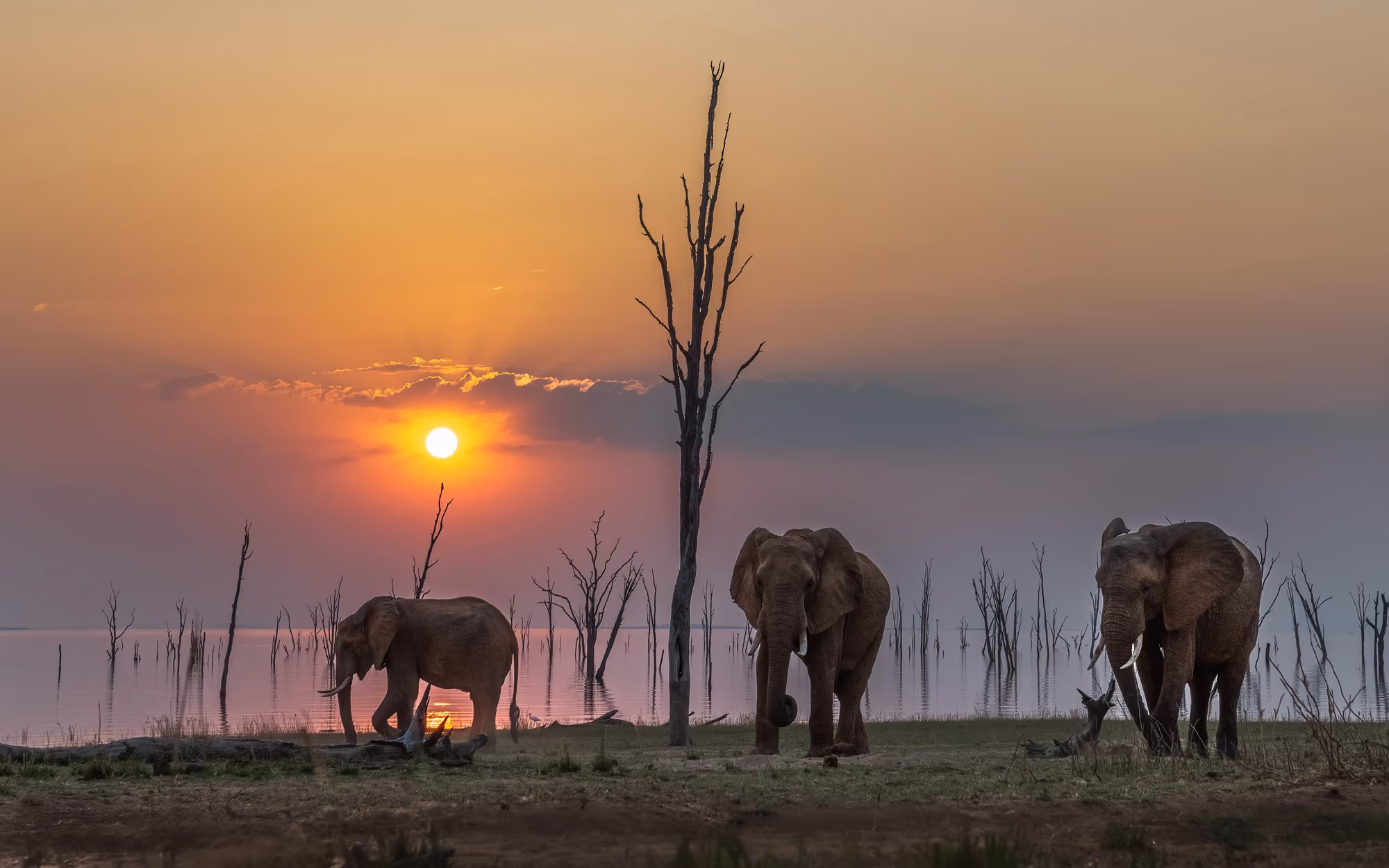 Lake Kariba & Matusadona gallery 5