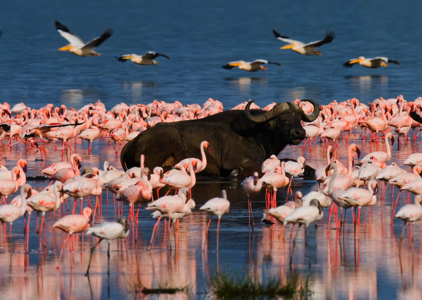 Lake Manyara National Park