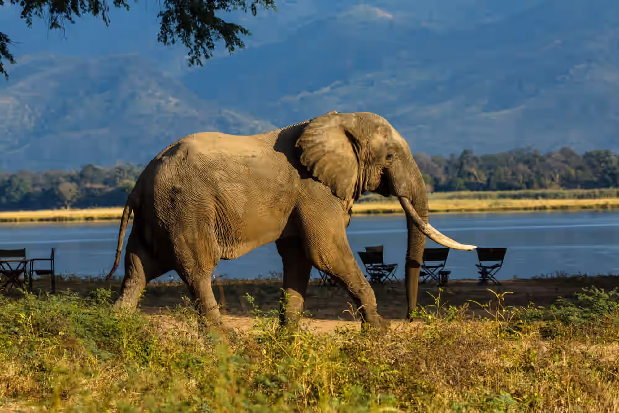 Mana Pools National Park