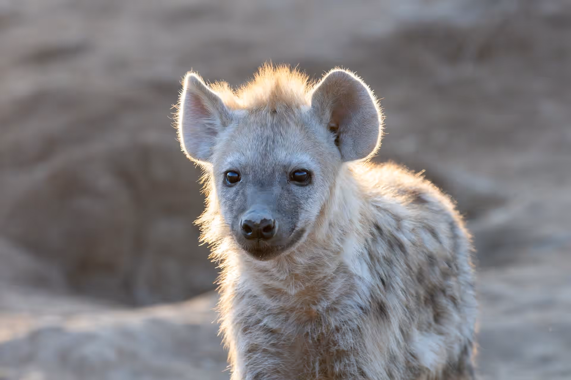 Ikona Wildlife Management Area gallery 2