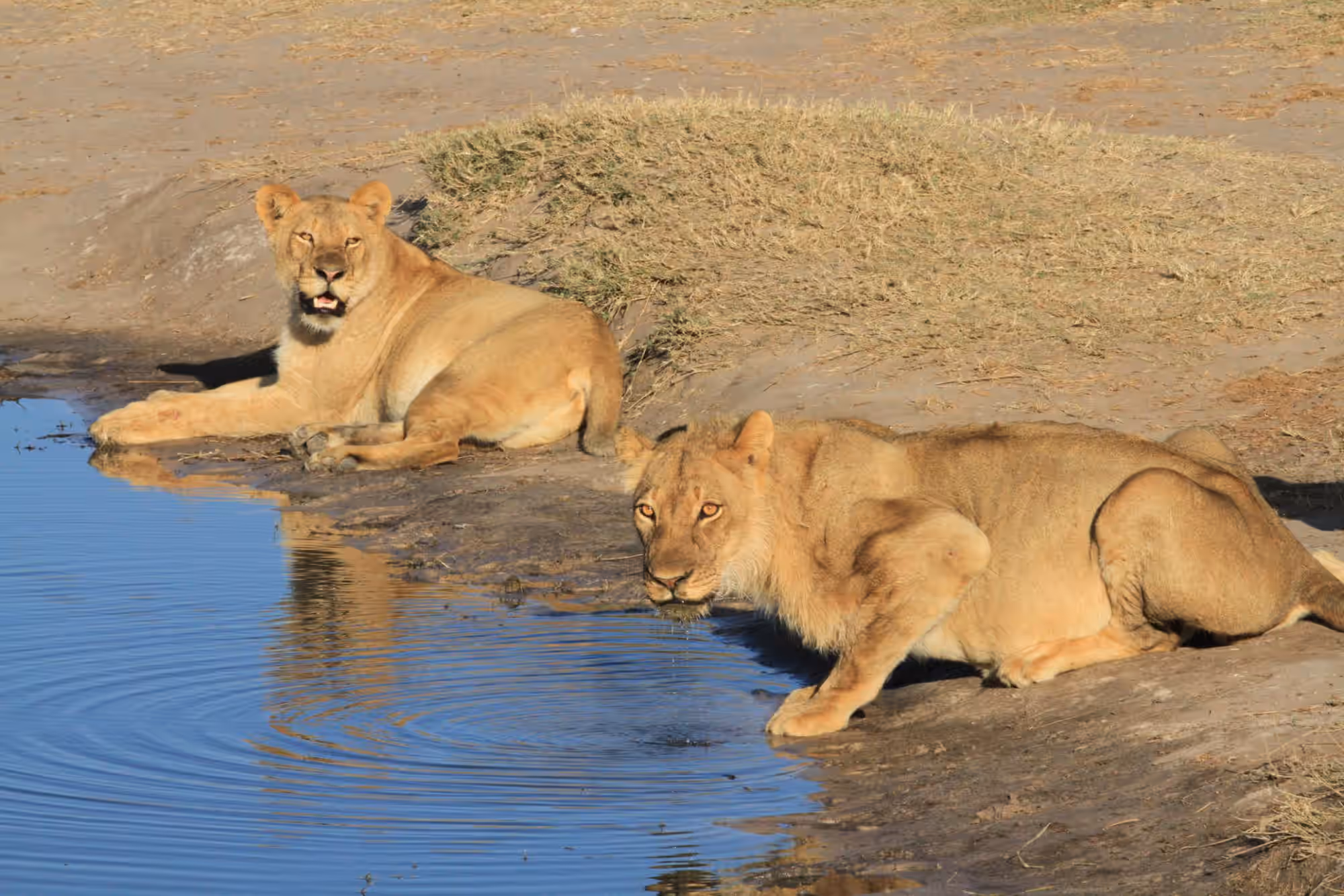 Hwange National Park