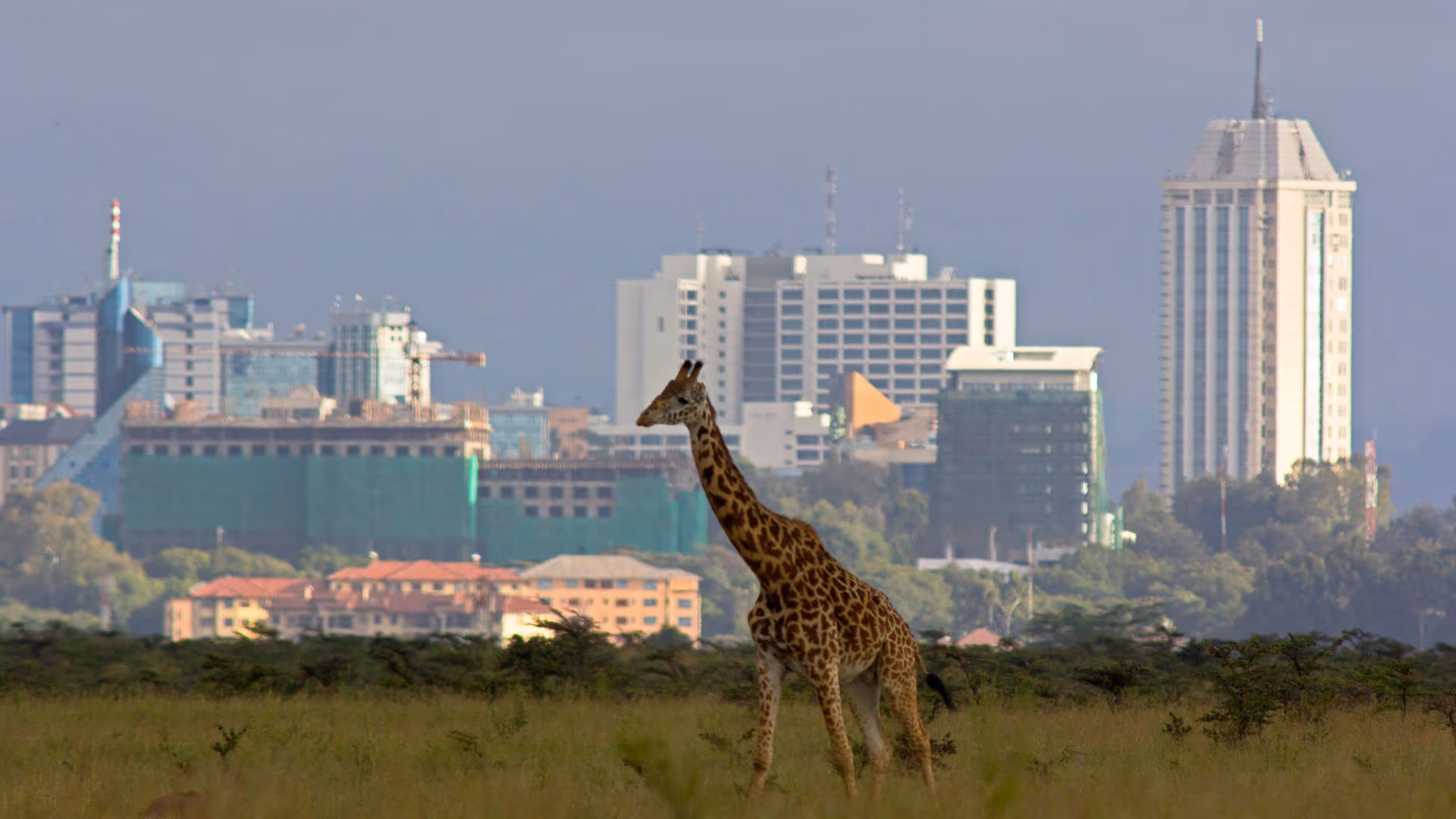 Nairobi gallery 3