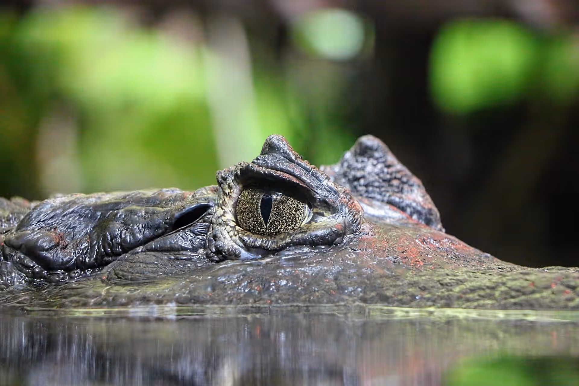 Ikona Wildlife Management Area gallery 3