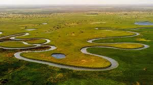 Okavango Delta gallery 1