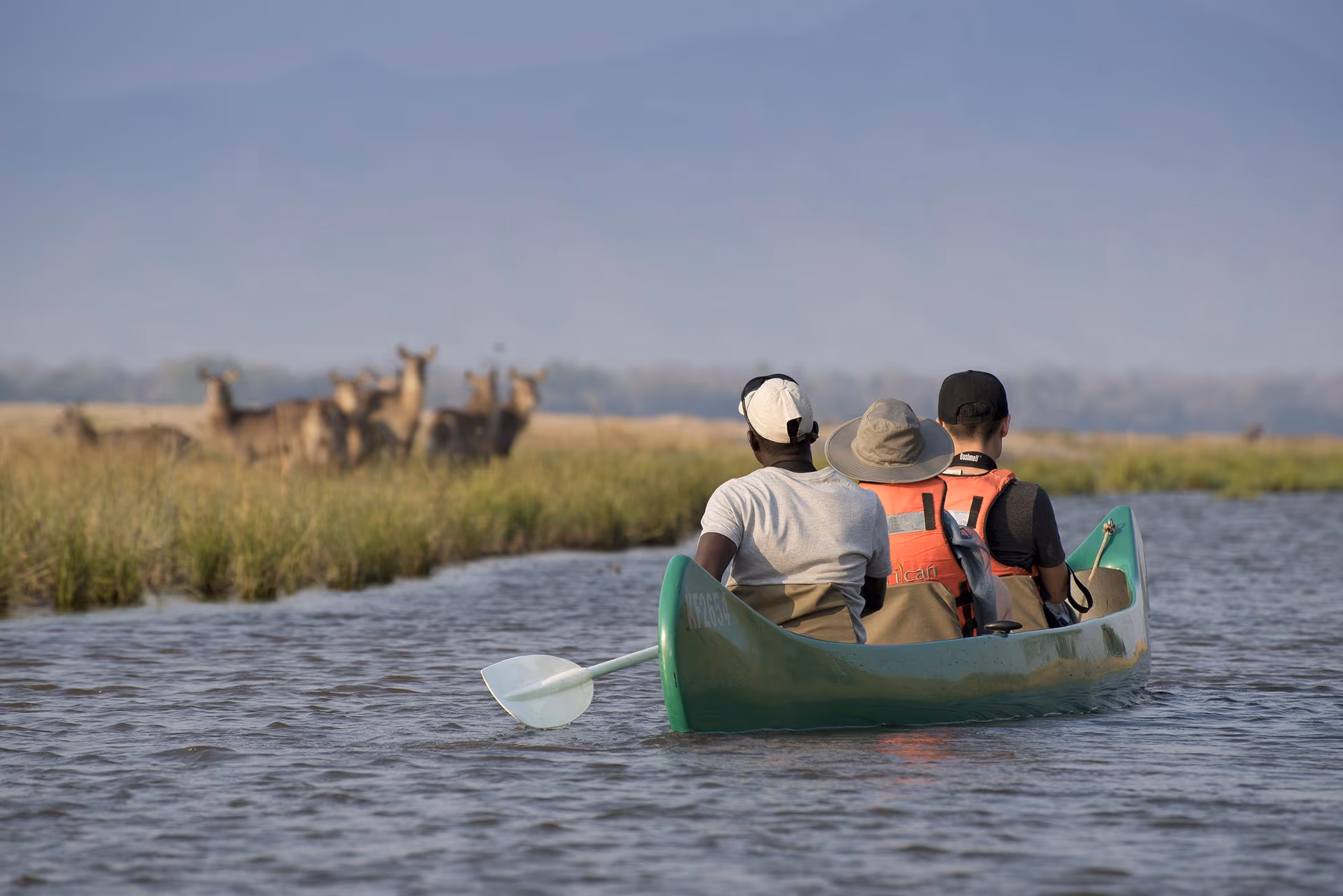 Mana Pools National Park gallery 6