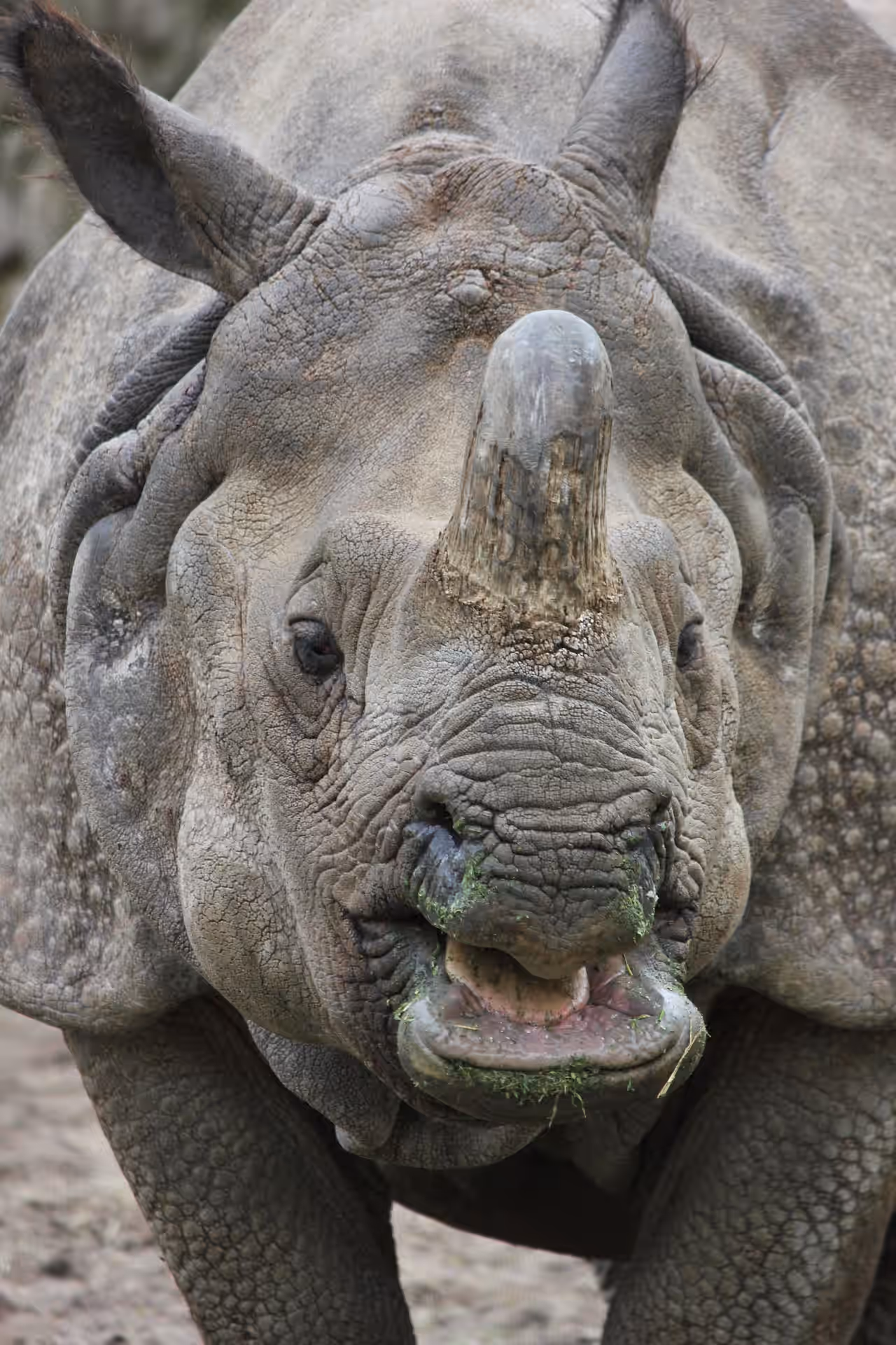 Ngorongoro Conservation Area gallery 1