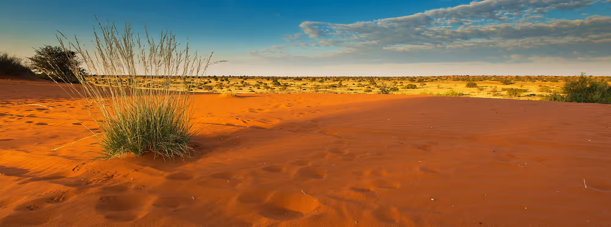 Kalahari Region (Namibia) gallery 0