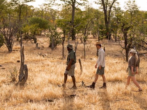 Mana Pools National Park gallery 1