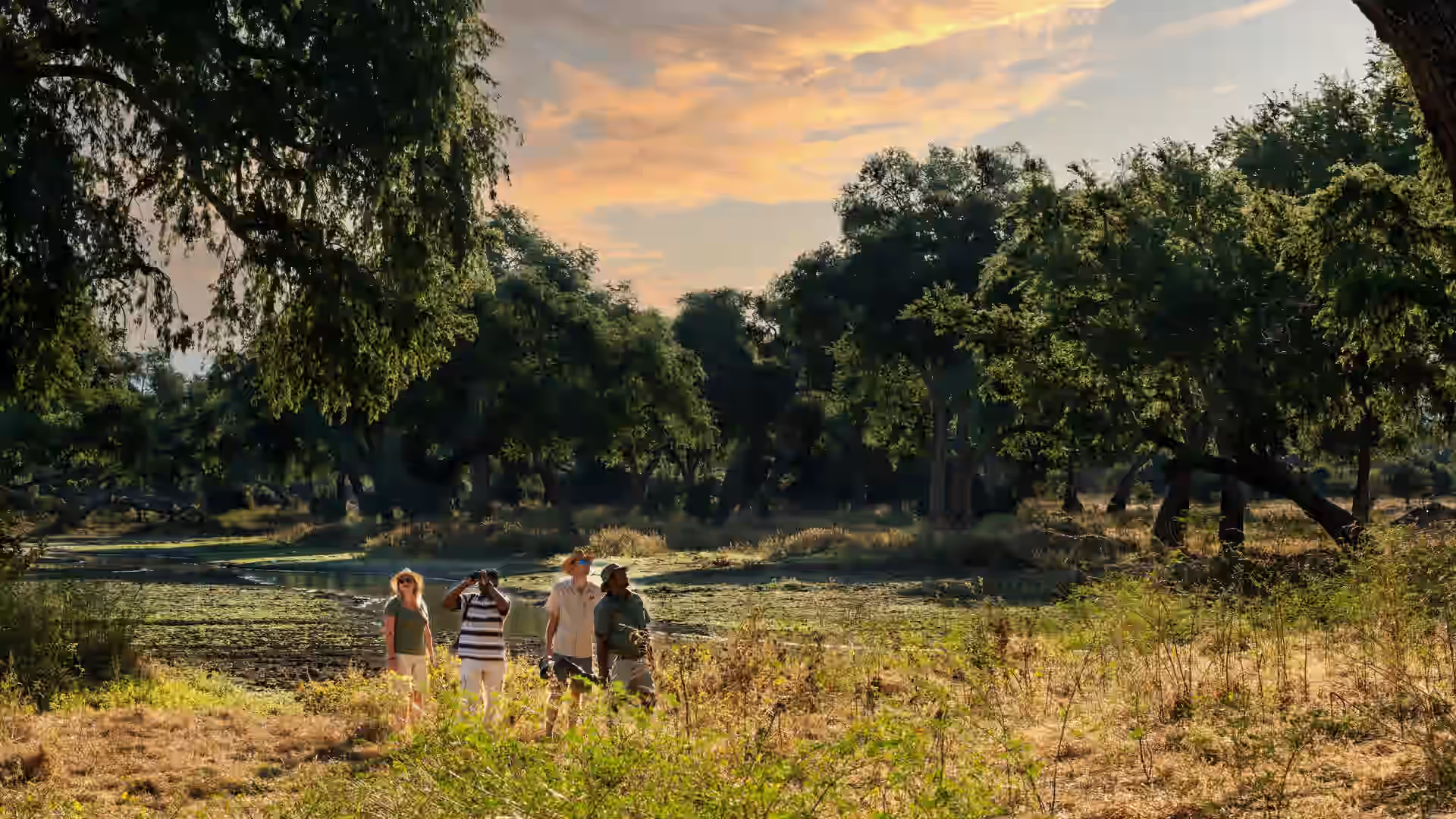 Mana Pools National Park gallery 5