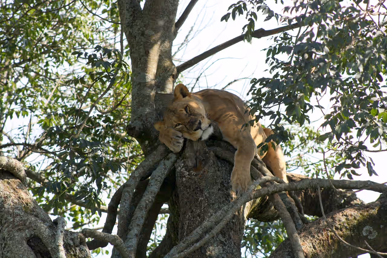 Lake Nakuru National Park gallery 2