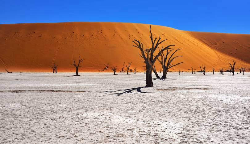 Sossusvlei gallery 3