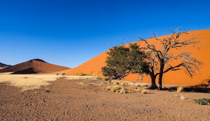 Sossusvlei gallery 8