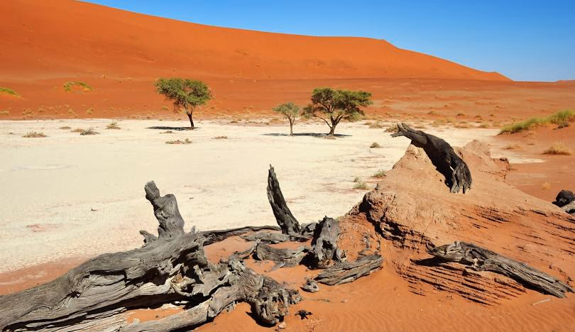 Sossusvlei gallery 4