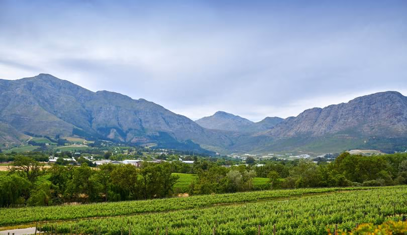 Franschhoek gallery 0