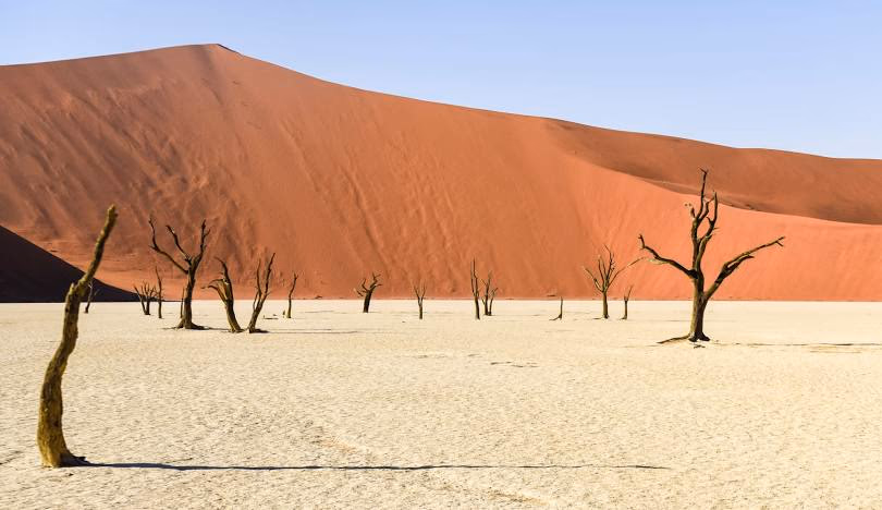 Sossusvlei gallery 5