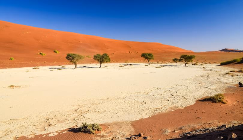 Sossusvlei gallery 6