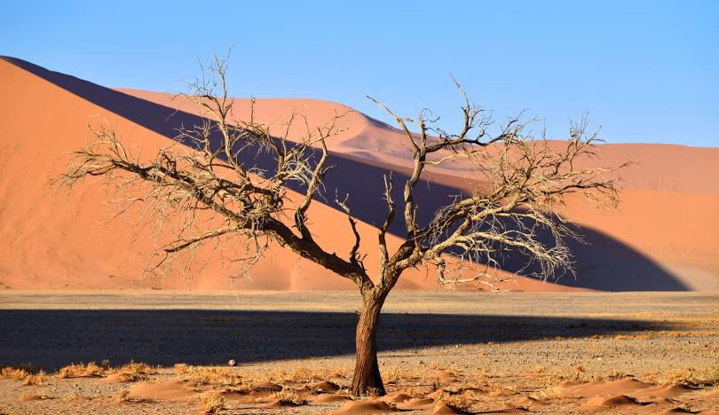 Sossusvlei gallery 7
