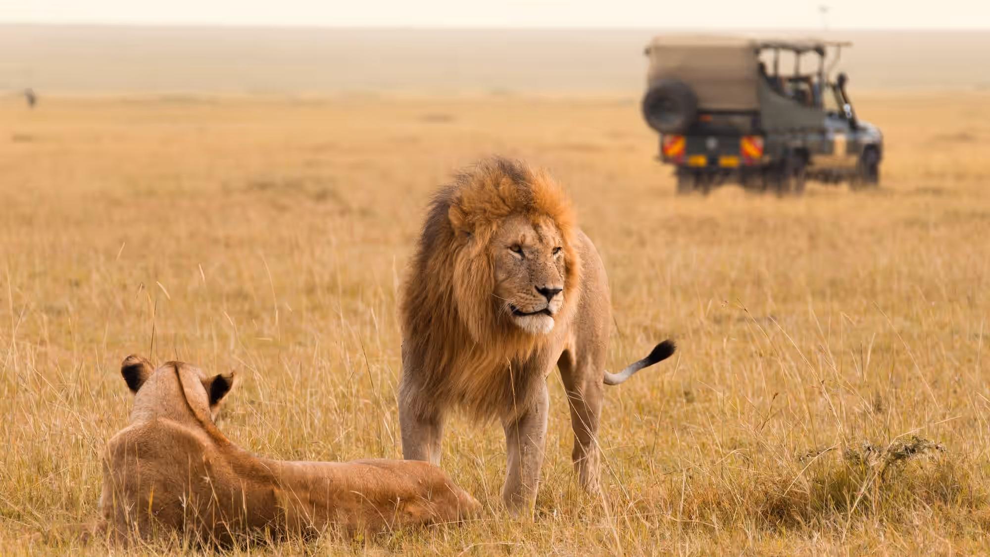 Masai Mara National Reserve
