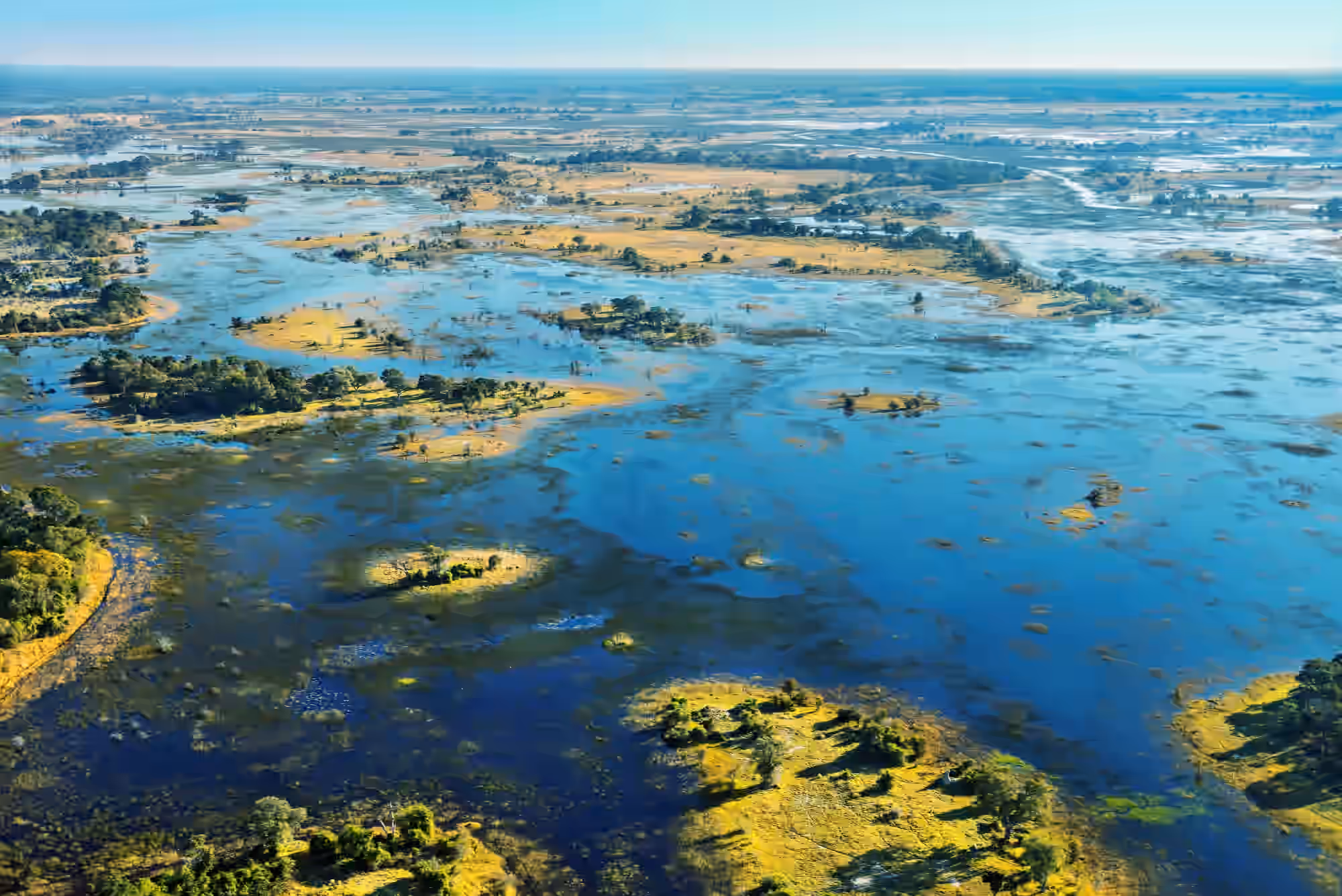 Okavango Delta gallery 3