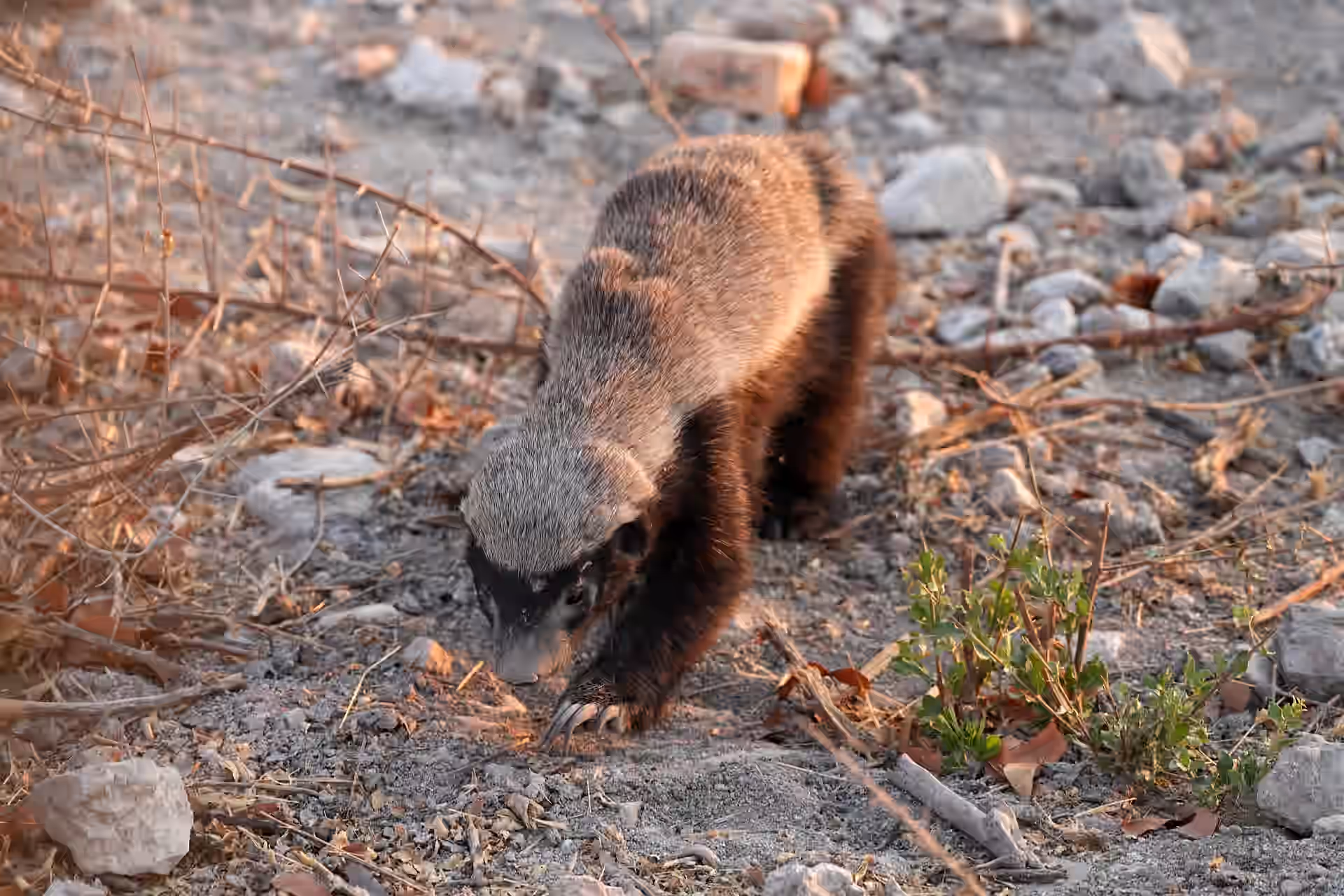 Ikona Wildlife Management Area gallery 1