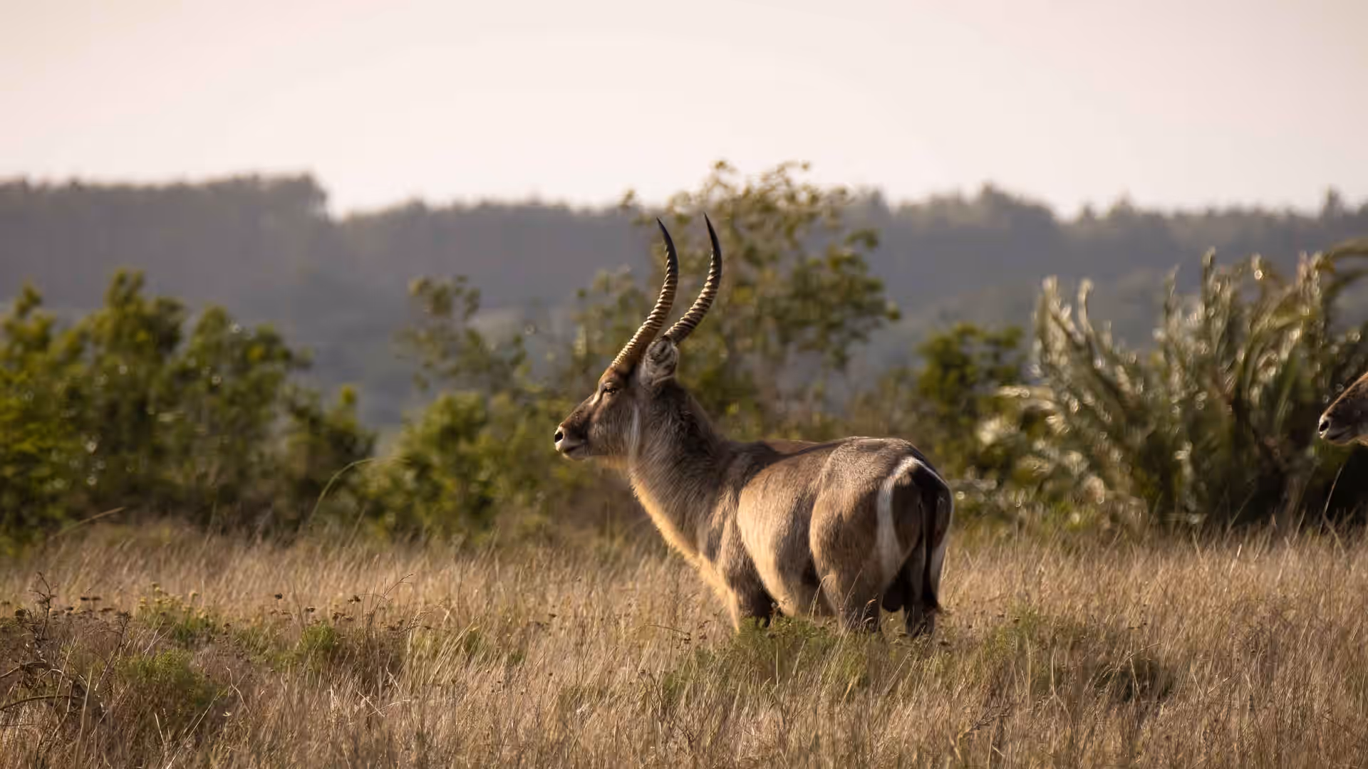 iSimangaliso Wetland Park gallery 2